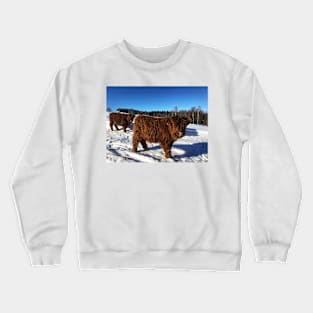 Scottish Highland Cattle Calves 1696 Crewneck Sweatshirt